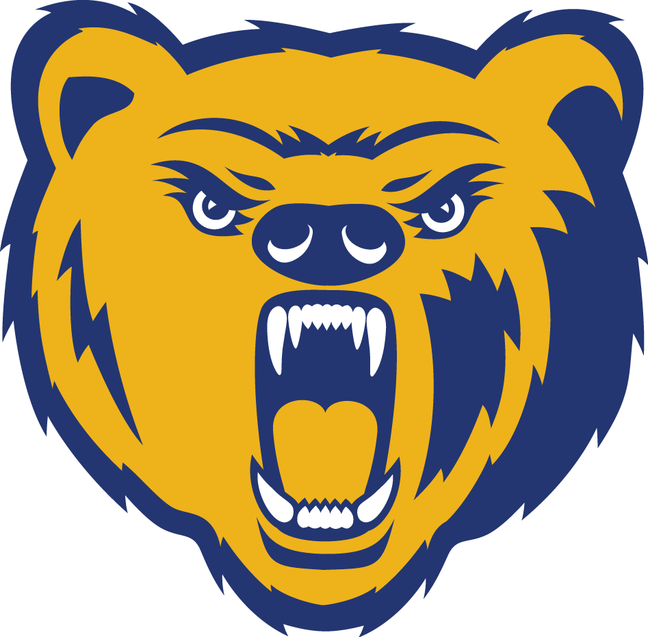 Northern Colorado Bears 2010-2014 Primary Logo iron on transfers for fabric